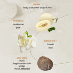 OEM of clothes and perfume - Image 5