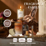 Custom Home Fragrance Private Label OEM Fragrance Oil/Reed Diffuser/Scent Balm/Car Fragrance
