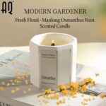 Custom Plant Based Aromatherapy Candle | Private Label Scented Candle - 图片 2