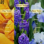 Custom Vetiver Preface Unisex Perfume Fragrance | Private Label Perfume OEM - 图片 4