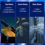 Custom Cold Spruce Snow  Perfume/Private Label Perfume/OEM Perfume - 图片 4