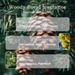 Custom Unisex Perfume Inspired by Boreal Cedar Unisex Fragrance For Men & Women - Image 4
