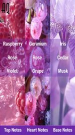 Custom Grapefruit Sea Perfume Fruity and Florall Fragrance / Private Label Perfume / OEM Perfume - 图片 4