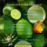 Vibrant Lime Clear and refreshing Customize Perfume Private Label Perfume OEM Perfume - Image 6