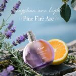 Custom Pine Fire Arc perfume Fragrance / Private Label Perfume / OEM Perfume - 图片 2