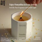 Custom Plant Based Aromatherapy Candle | Private Label Scented Candle - 图片 3