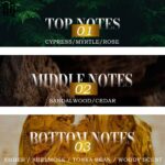 Custom Unisex Perfume Sandalwood Scent Private Label Perfume - Image 4